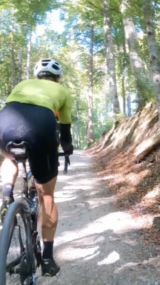 Up and down. Up and down. Again and again in our Gravel Ride & Race Bern! 😍
🎥: Sven Hennauer 
#uphill #graveluphill #gravelroads #forest #gravellove #gravel #mountainbike #gravelracing #gravellove #gravelcycling #gravelgrinder #gravellife #kids #families #expo #gravelbikes #biketest #unpavedapproved #cycling #cyclinglife #cyclinglifestyle #ride #race #bern