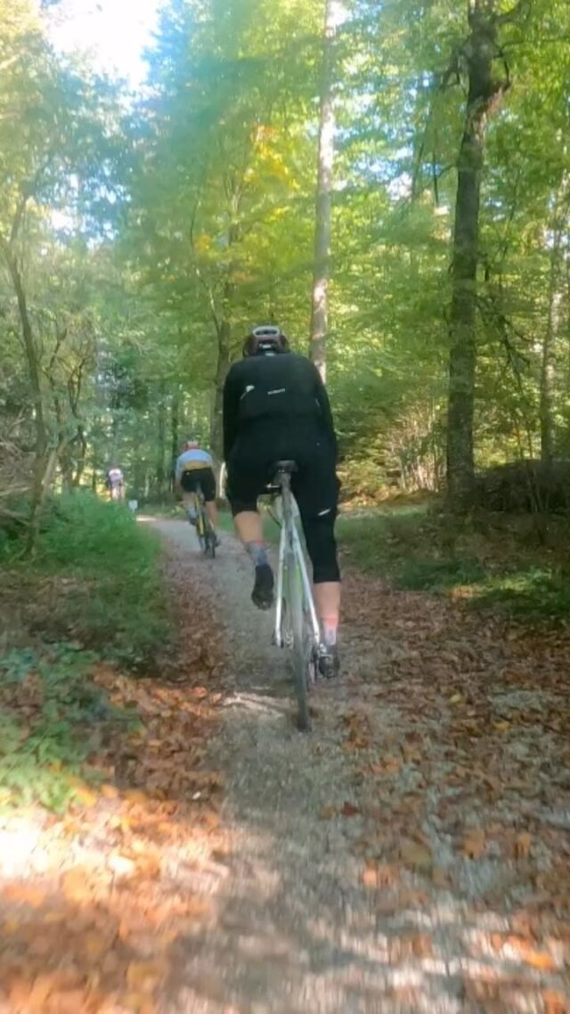 So much fun! Downhill parts in our Allianz Gravel Ride & Race! 🤘🏼🔥
🎥: Sven Hennauer
#onboard #downhill #gravelroads #forest #gravellove #gravel #mountainbike #gravelracing #gravellove #gravelcycling